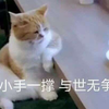 贝-1993